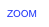 ZOOM